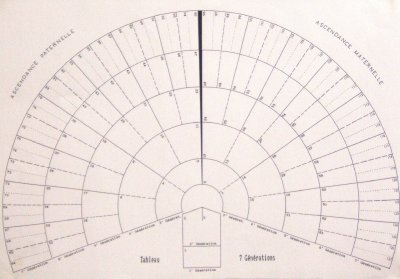 arbre3
